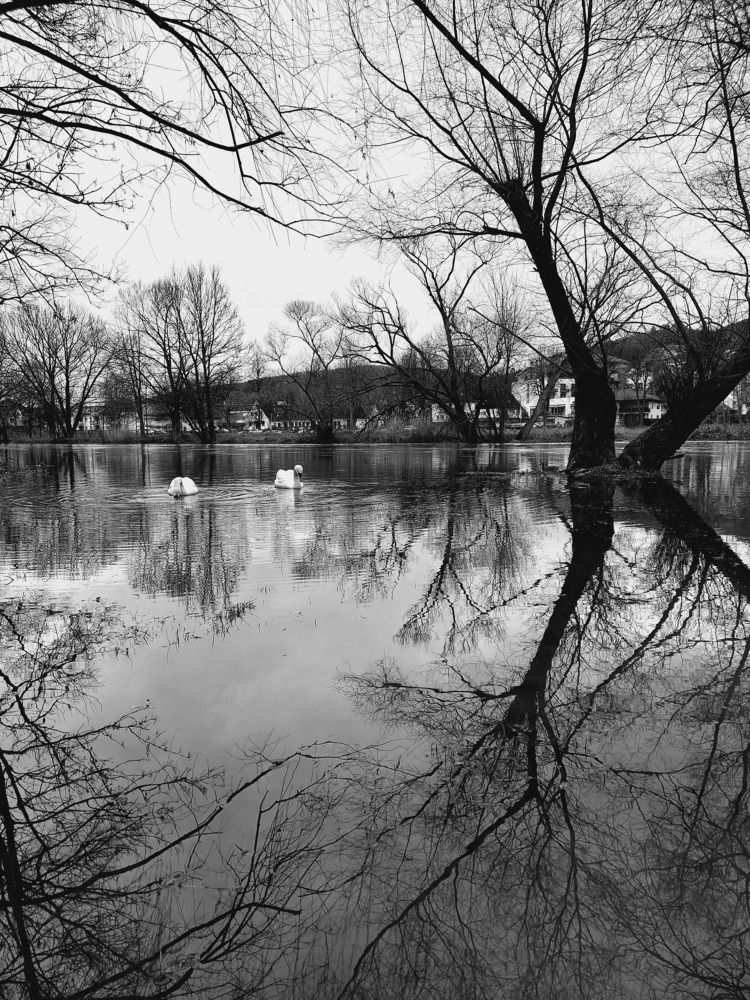 Photograph by Татьяна