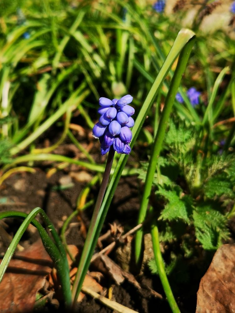 Photograph by Nikolett Mengyi