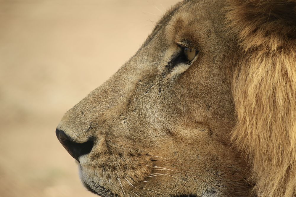 Photograph by Obada Abdelwahab Abdalla