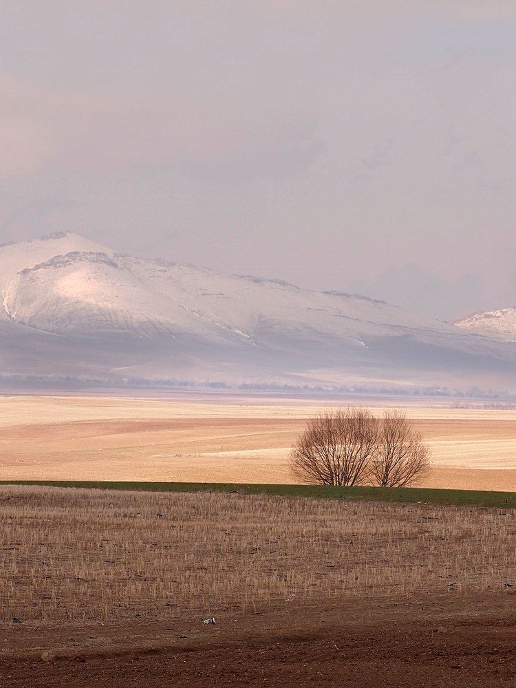 Photograph by Farid Ataei