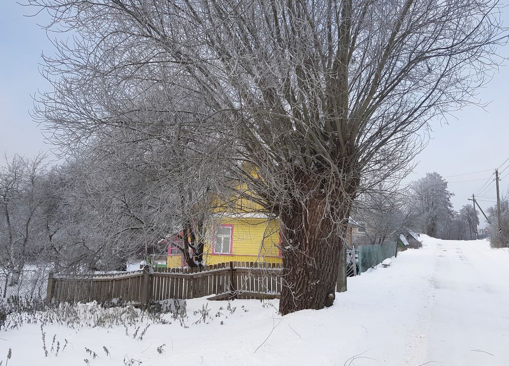 Photograph by Василий Раковец