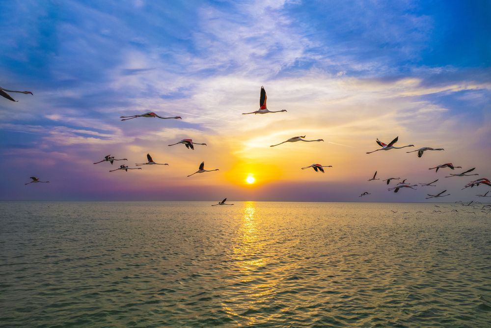 Photograph by arash radmanesh