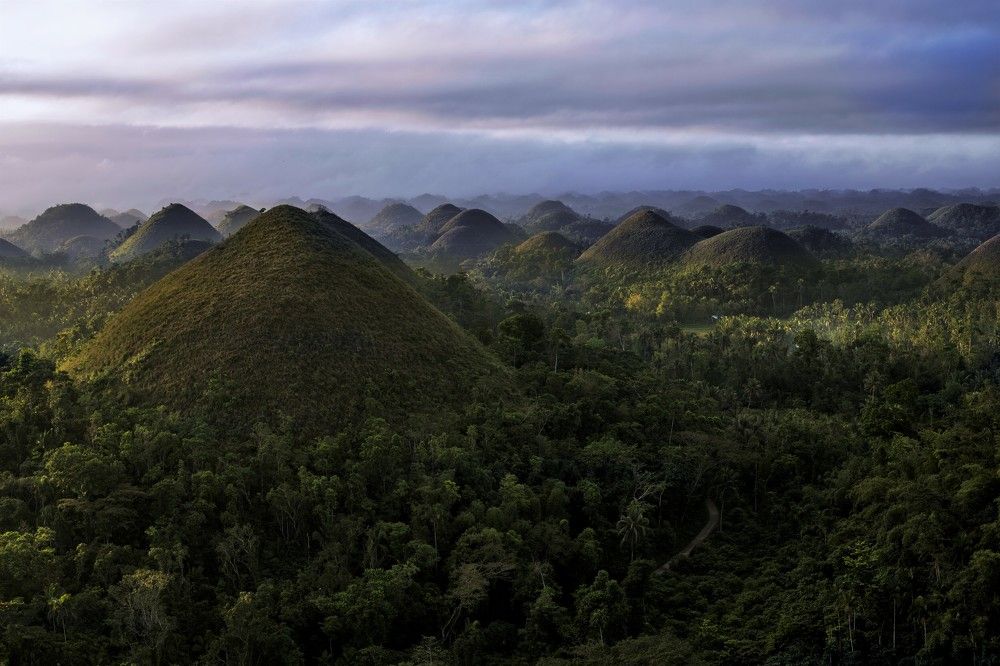 Photograph by Максимушкина Ольга