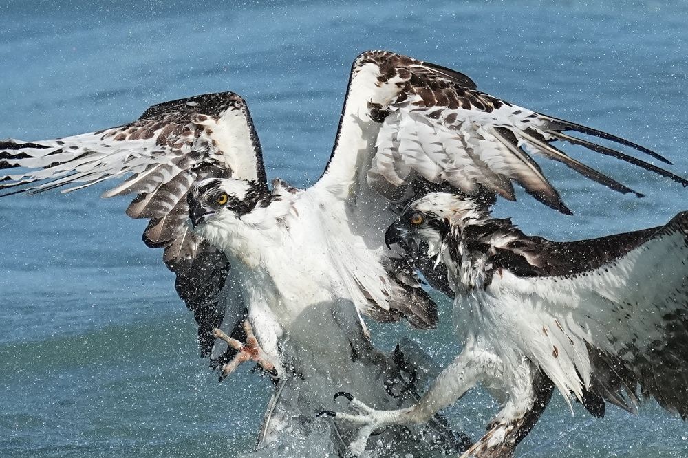 Photograph by ian lloyd