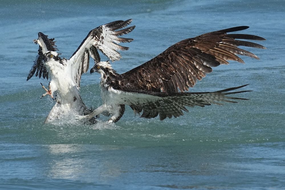 Photograph by ian lloyd