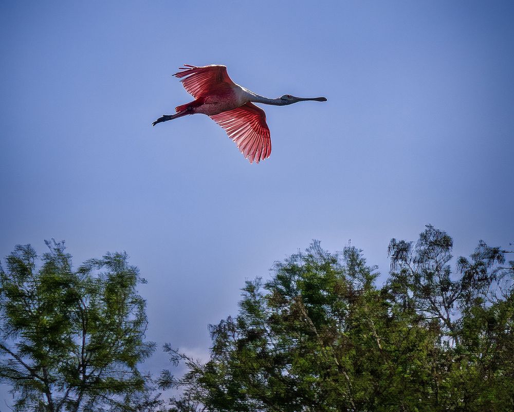 Фотография автора Raymond Asiala