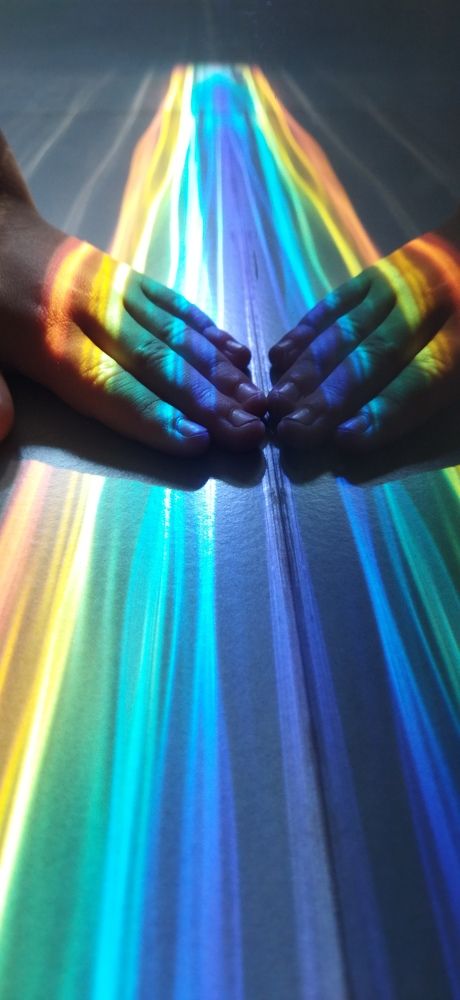 Photo #9034230