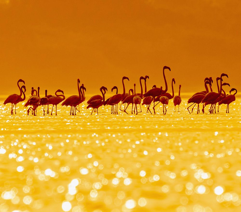 Photograph by Muralitharan M