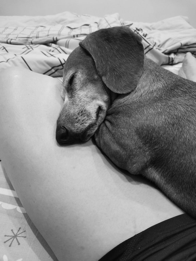 Photograph by Анастасия