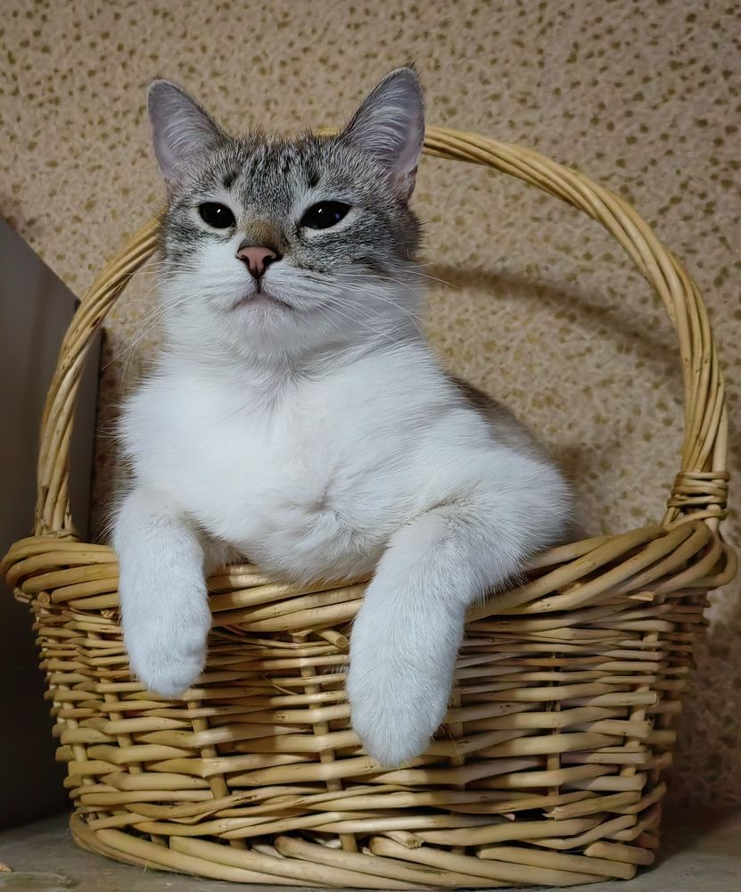 Царевна отдыхает
