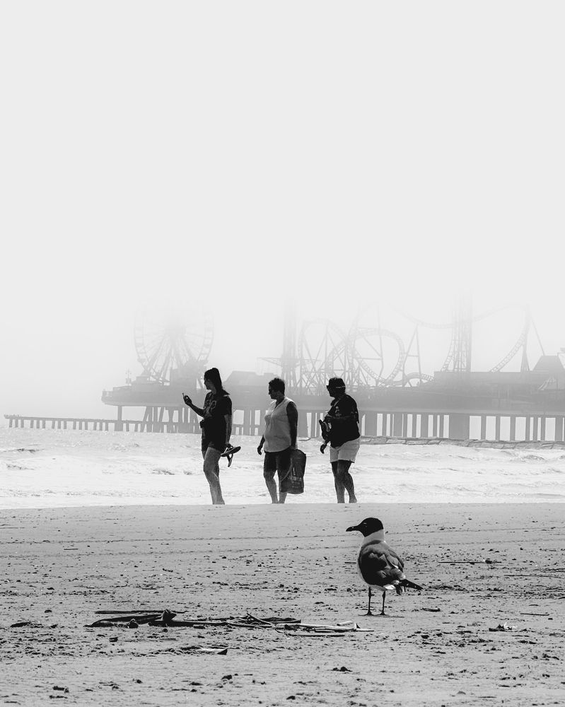 Photograph by Manish Jana