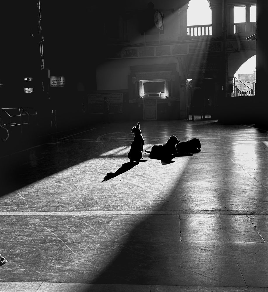 Photograph by Manish Jana