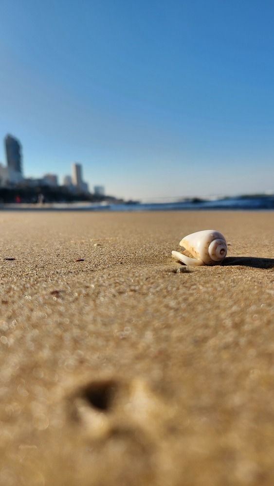 Фотография автора Olga Lavrenchuk