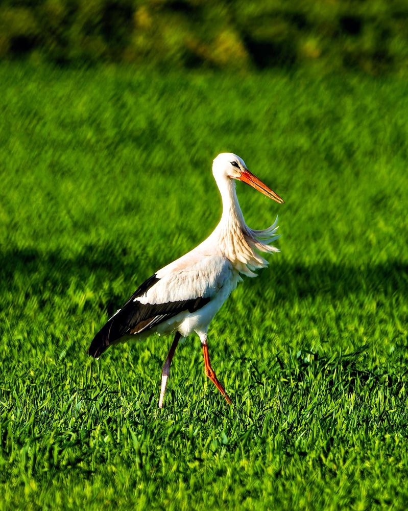 Photograph by Vadim Heinz