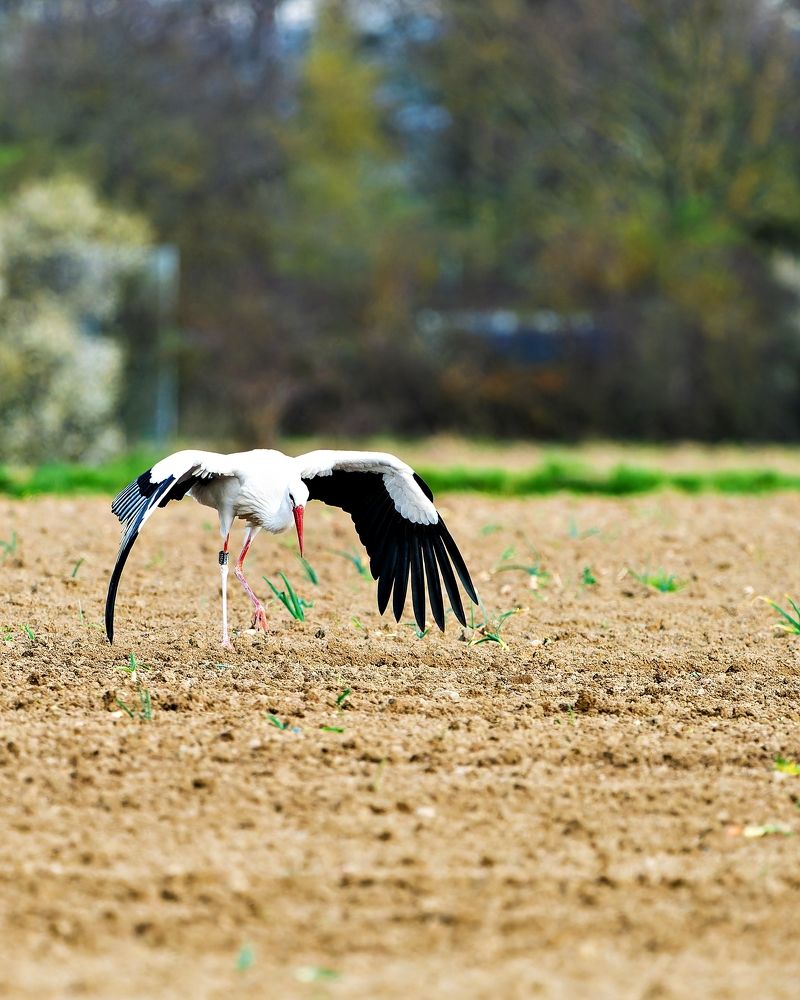 Photograph by Vadim Heinz