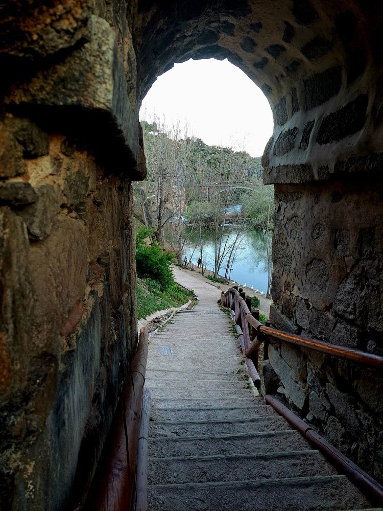 Tajo