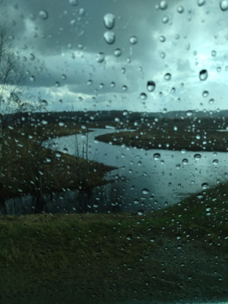 Photo #9034649