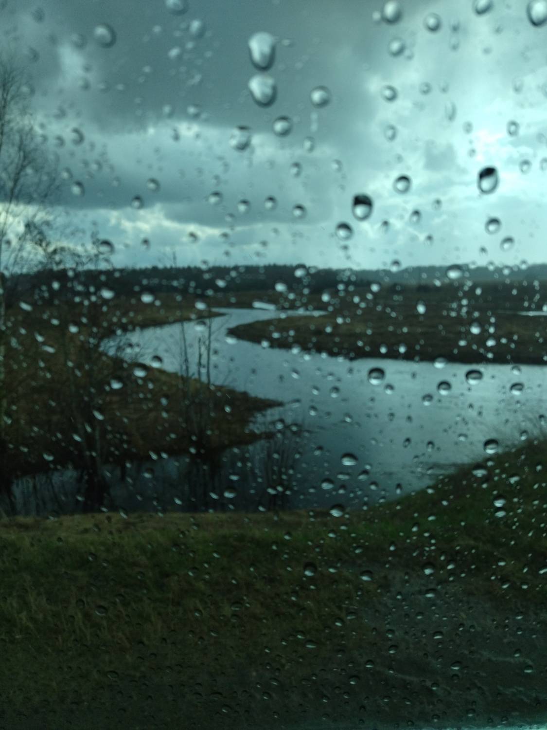 Photo #9034649