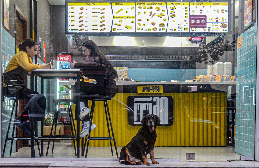 Photograph by владимир хухунаишвили