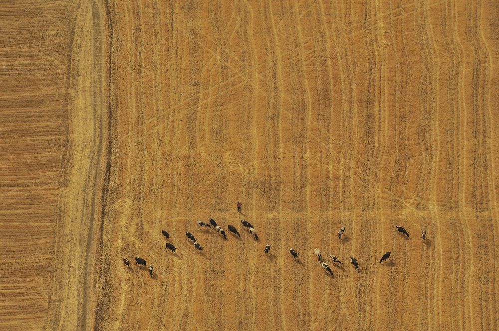 Photograph by Kaouche Mohamed