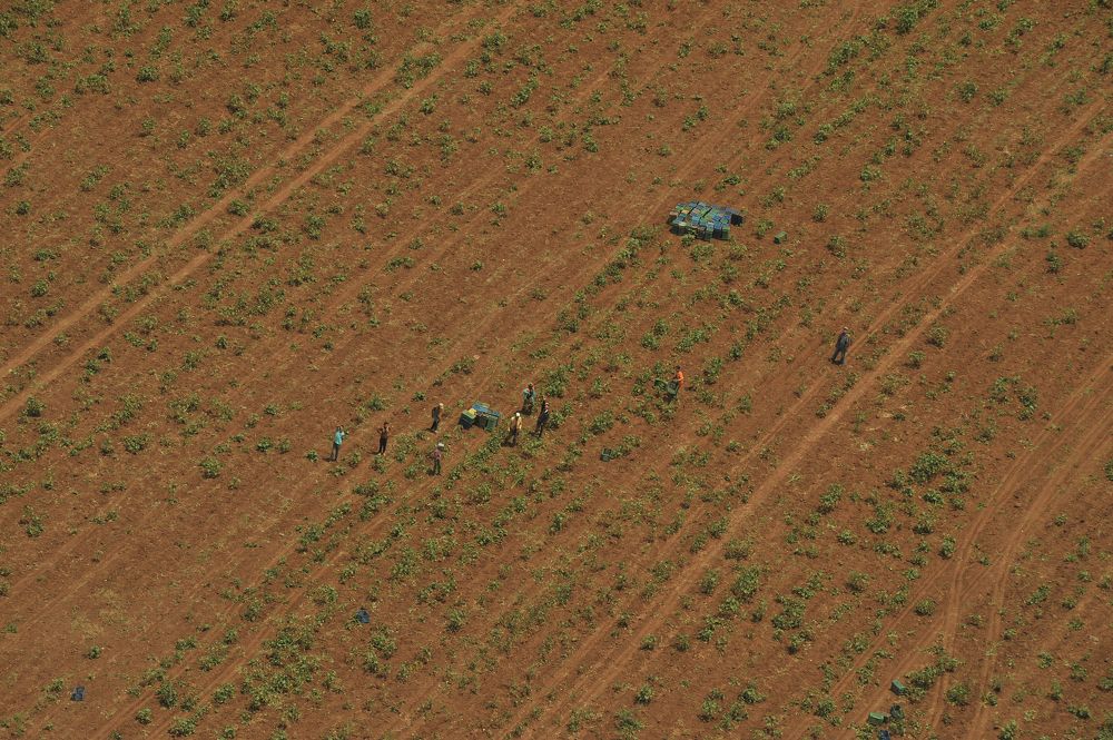 Photograph by Kaouche Mohamed