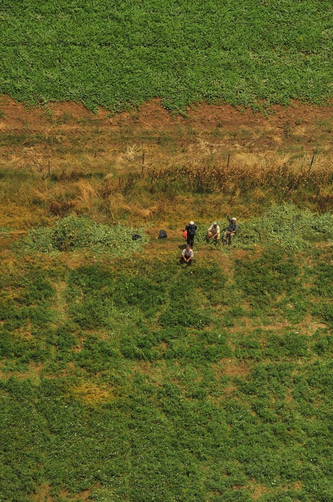 Photograph by Kaouche Mohamed