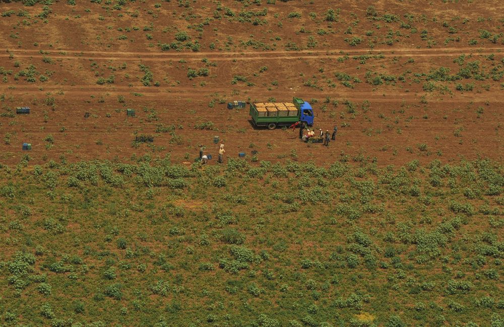 Photograph by Kaouche Mohamed