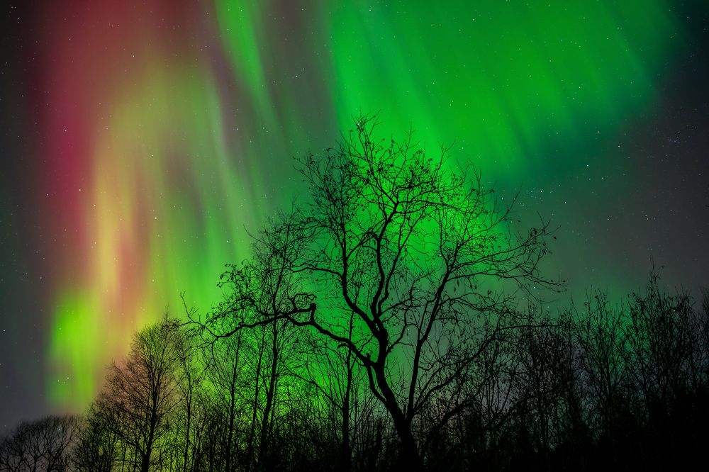 Photograph by Мика Петров