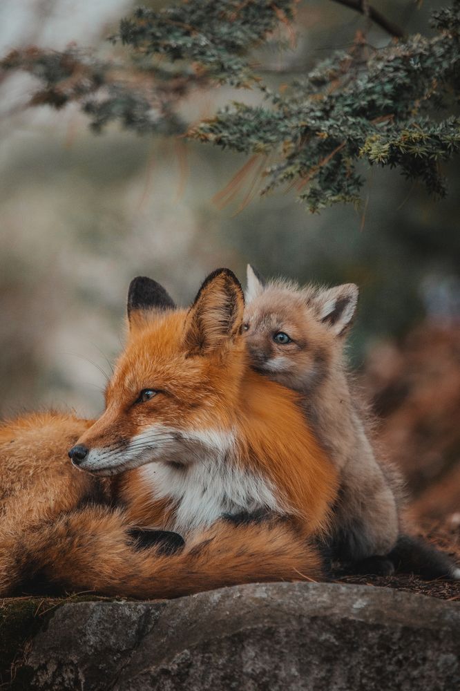 Photograph by Maggie Parise