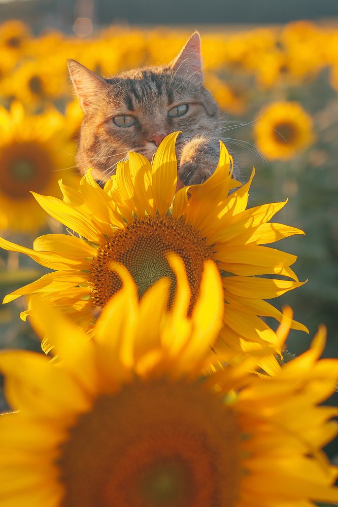 Photograph by Debora Magri