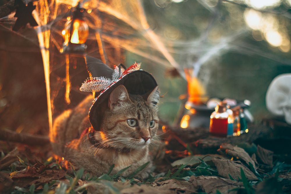 Photograph by Debora Magri