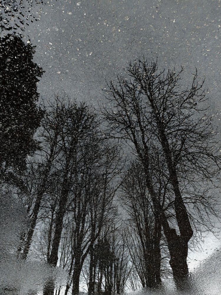 Photograph by Валентина Михайлова