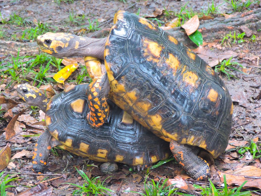 Photograph by Patrícia Helena