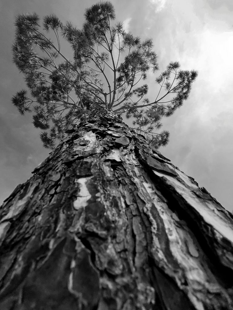 Photograph by Татьяна Долгушева