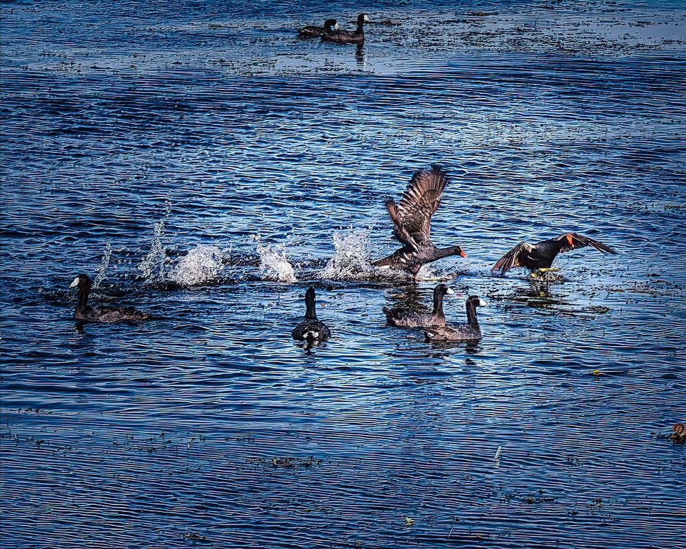 Фотография автора Raymond Asiala