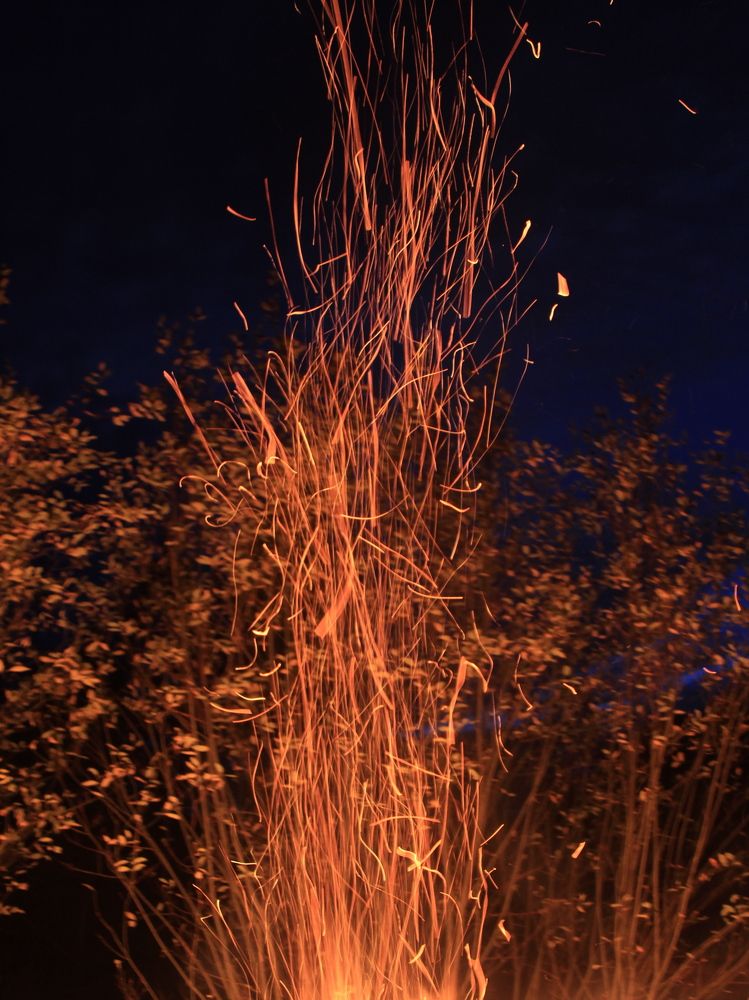 Фотография автора Анастасия Зверева