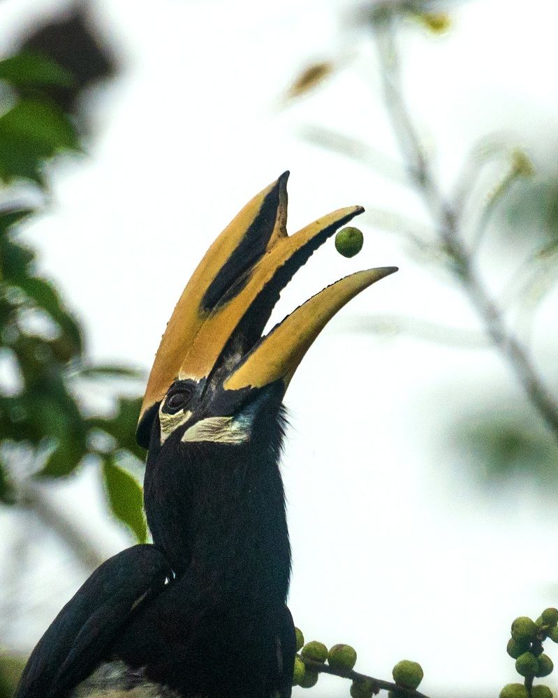 Photograph by Sharad Mansharamani