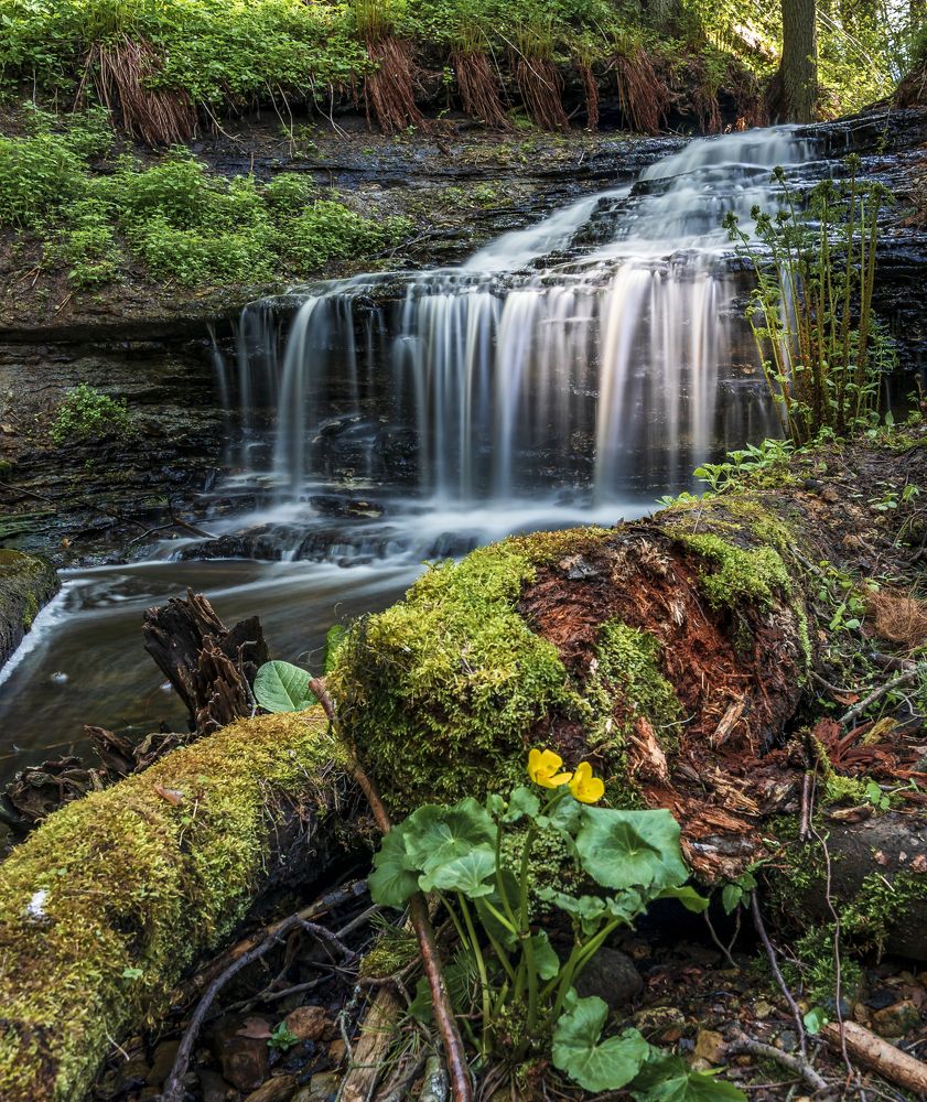 Photograph by Susanna Kari