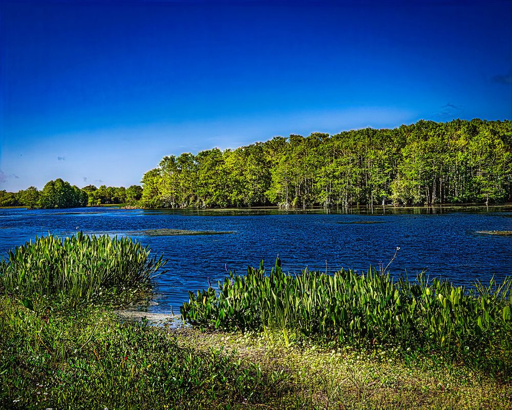 Фотография автора Raymond Asiala