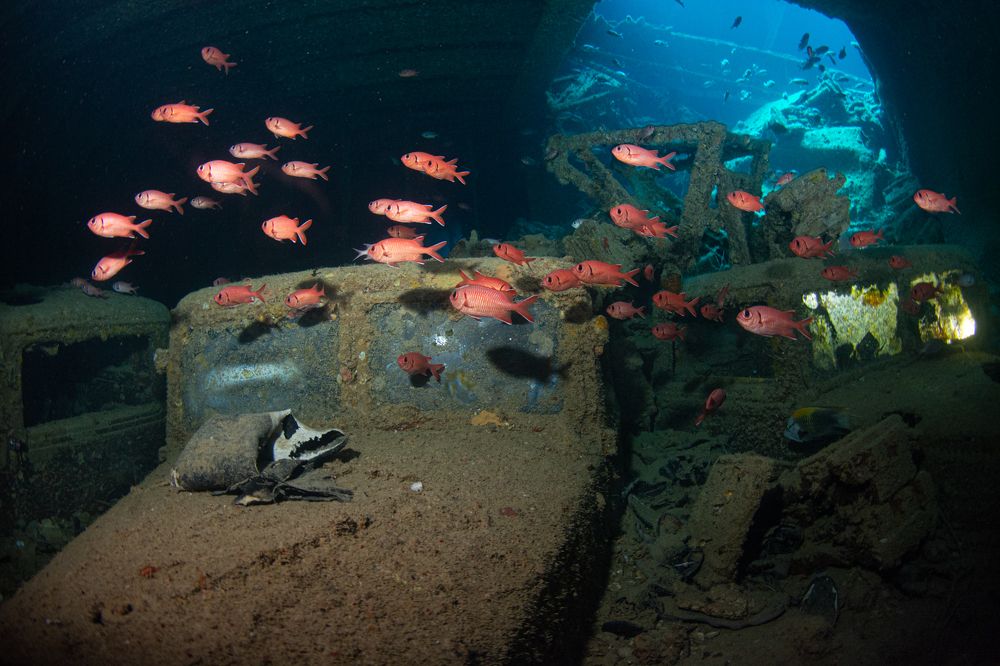 Photograph by Pam Murph