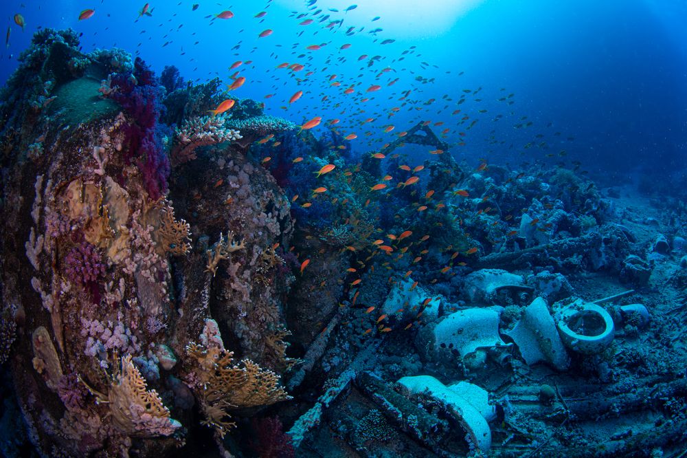 Photograph by Pam Murph