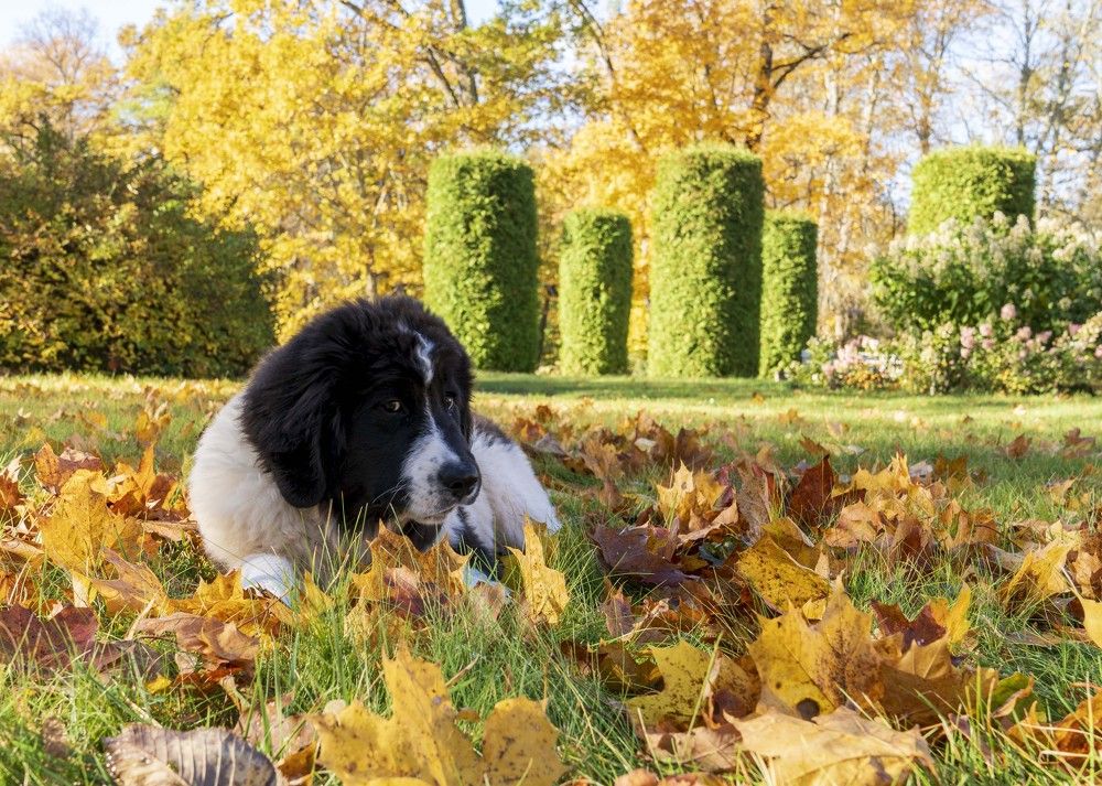 Photograph by Susanna Kari