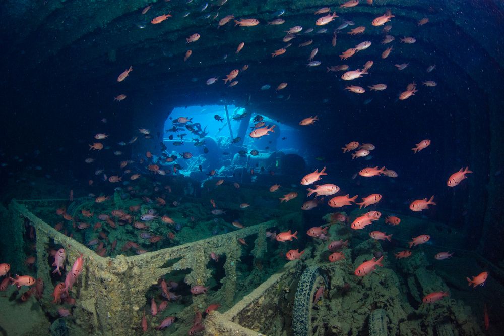 Photograph by Pam Murph