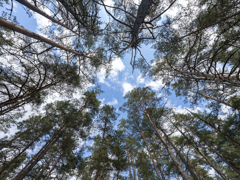 Photograph by Susanna Kari