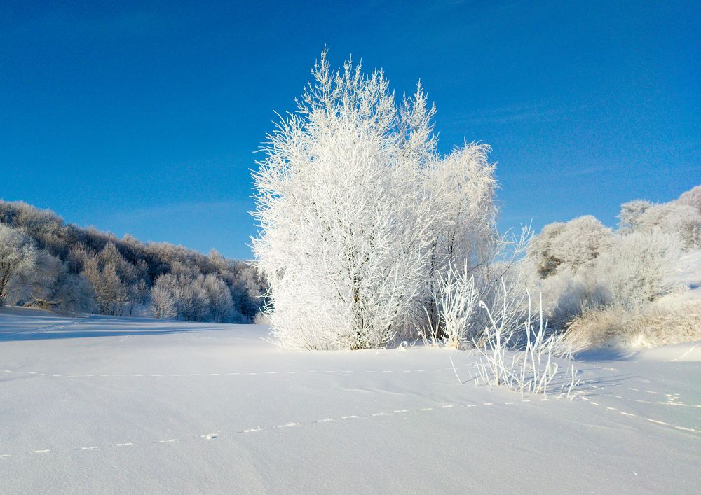 Фотография автора Александр Андреянов