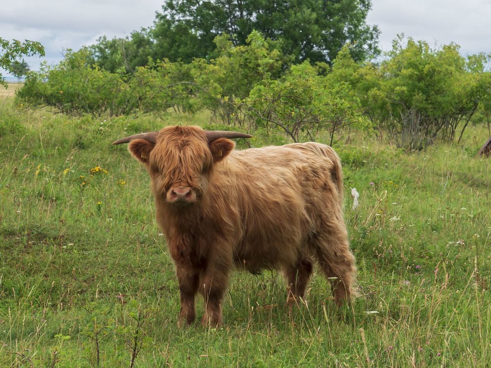 Photograph by Susanna Kari