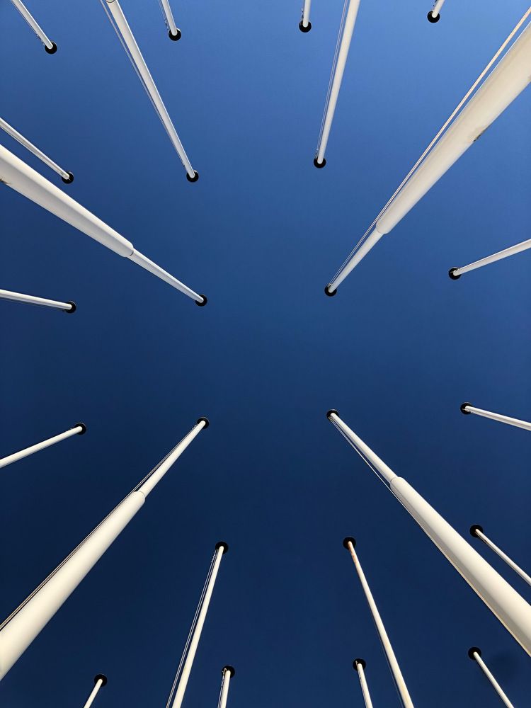 Фотография автора Sônia Sutili