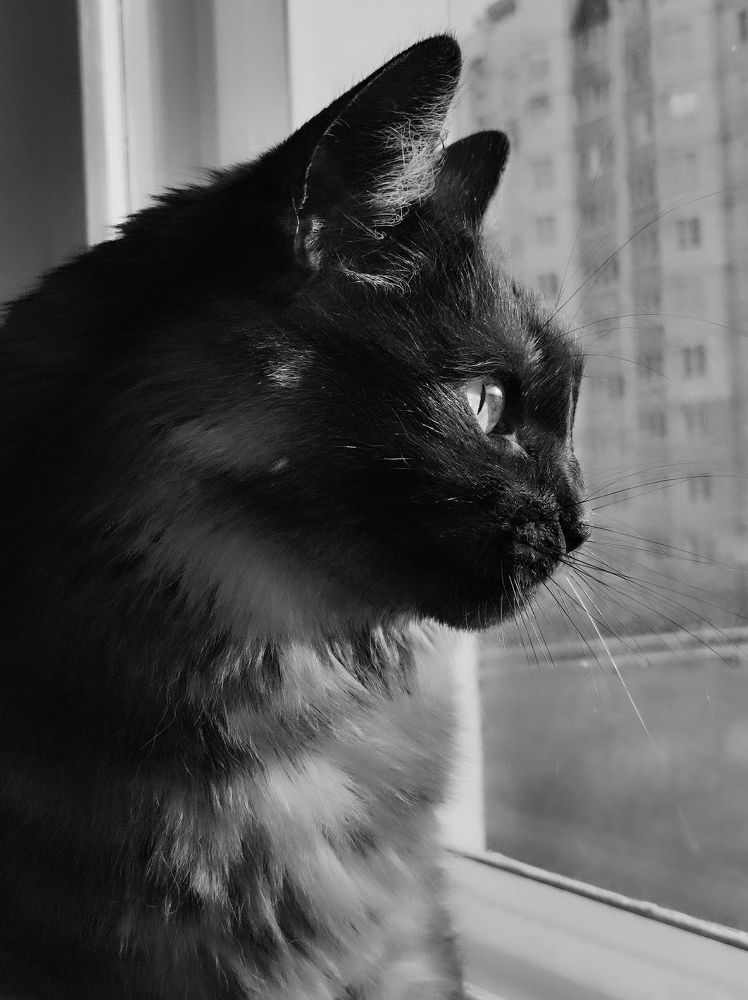 Photograph by Deiltora