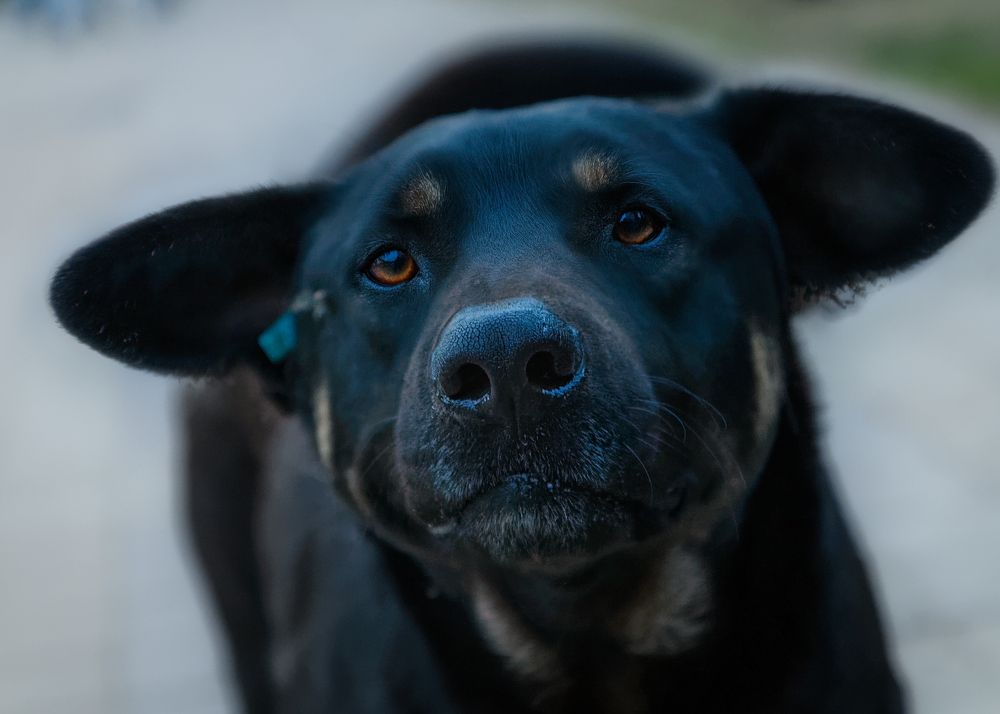 Photograph by Владимир Кваша