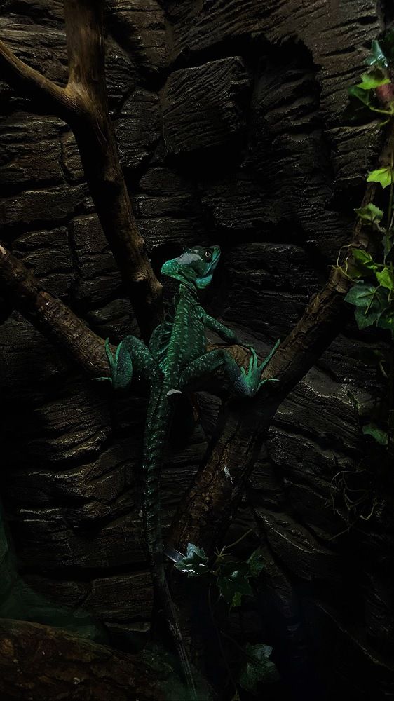 Photograph by Юлия Короткова